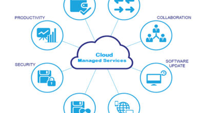 Managed cloud networking services