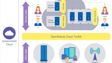 Cloud networking government case