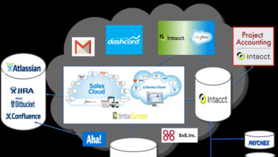 Enterprise cloud networking services